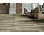 Linha Ambienta Coleção Evolve / Design / Spec 